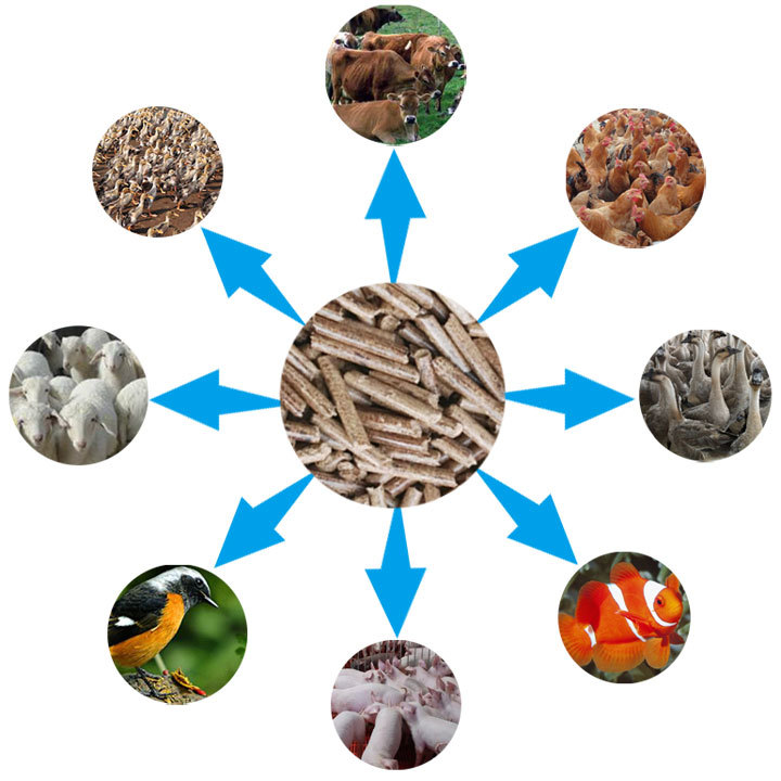 秸稈飼料顆粒機的應(yīng)用 秸稈飼料顆粒機的應(yīng)用