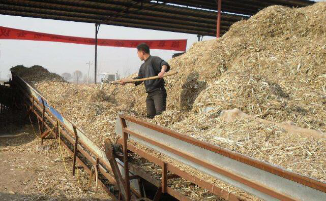 秸稈顆粒機生產(chǎn)線粉碎階段 秸稈顆粒機生產(chǎn)線粉碎階段