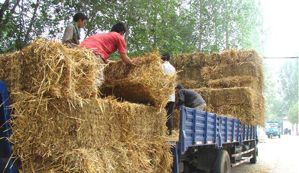 秸稈綜合利用 秸稈綜合利用