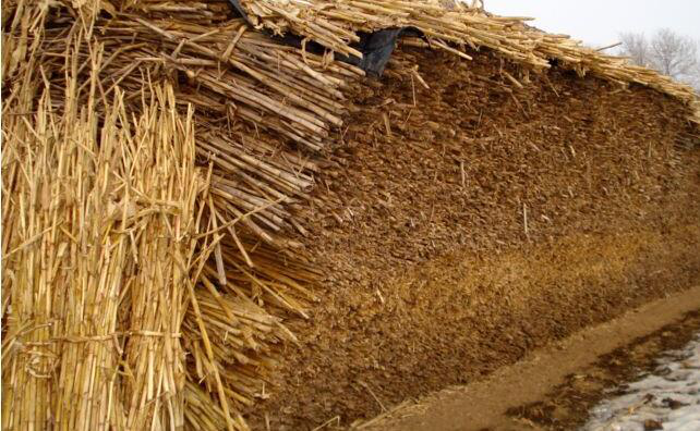 農(nóng)作物秸稈 農(nóng)作物秸稈