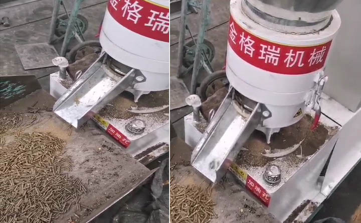 當(dāng)天進(jìn)入生產(chǎn)的金格瑞飼料顆粒機