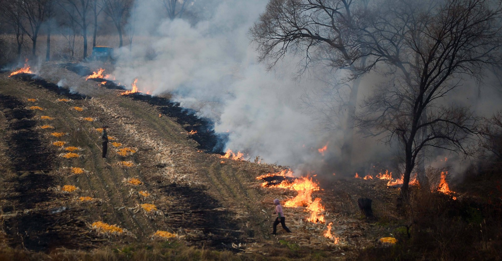 秸稈露天焚燒 秸稈露天焚燒