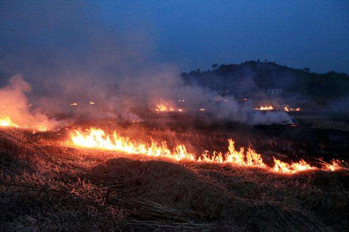 農(nóng)民晚上偷偷焚燒秸稈 農(nóng)民晚上偷偷焚燒秸稈