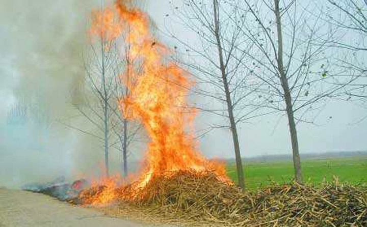 農(nóng)民露天秸稈焚燒 農(nóng)民露天秸稈焚燒