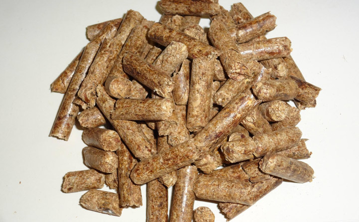 牛羊愛(ài)吃的飼料 牛羊愛(ài)吃的飼料