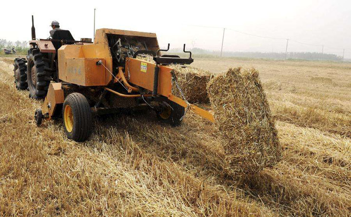 農(nóng)村廢物資源化利用 農(nóng)村廢物資源化利用