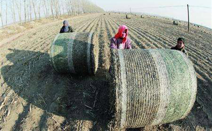 秸稈打捆回收 秸稈打捆回收