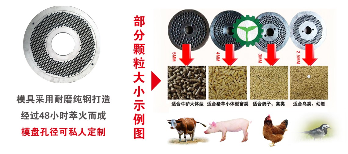 細(xì)節(jié)2.jpg 細(xì)節(jié)2.jpg