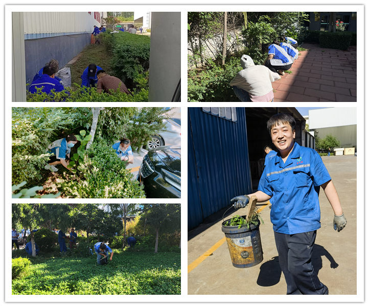 大家清掃、拾撿綠化帶垃圾，清理路邊縫隙死角內(nèi)的煙頭和雜物.jpg