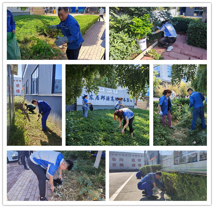 大家清掃、拾撿綠化帶垃圾，清理路邊縫隙死角內(nèi)的煙頭和雜物.jpg