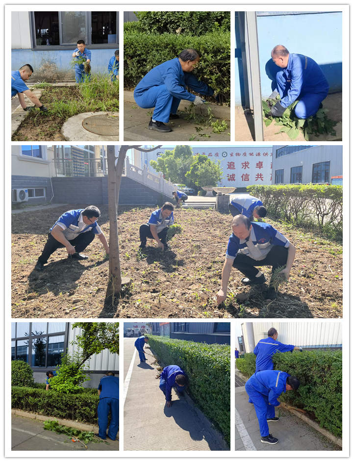 大家清掃、拾撿綠化帶垃圾，清理路邊縫隙死角內(nèi)的煙頭和雜物.jpg
